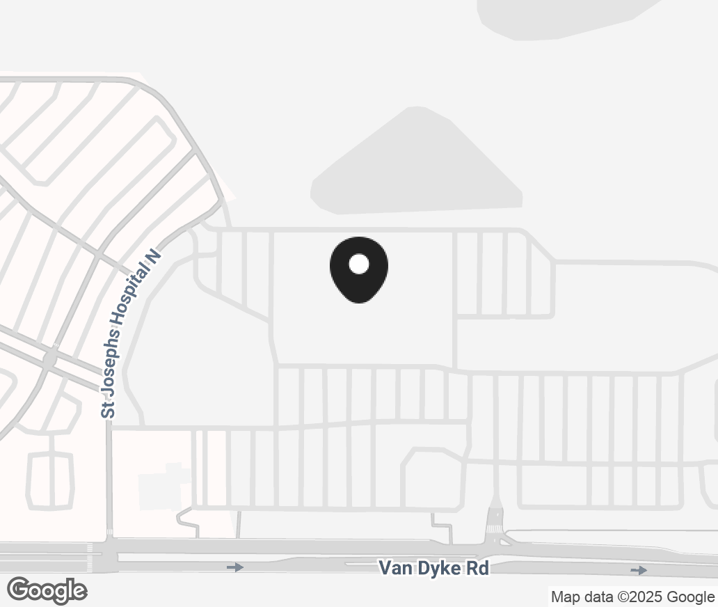 Google Map of 3979 Van Dyke Rd, Lutz FL 33558