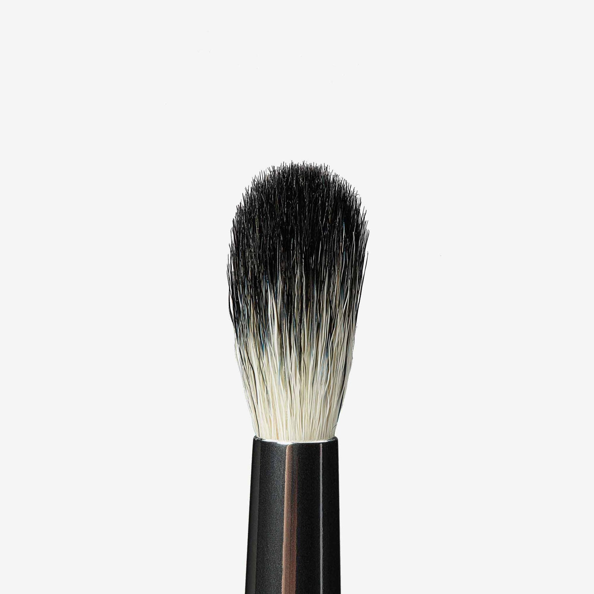 A25 Brush