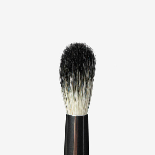 A25 Brush