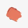 Nectarine | Stick Blush Swatch Shade Nectarine 