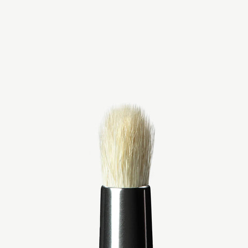 A14 Brush