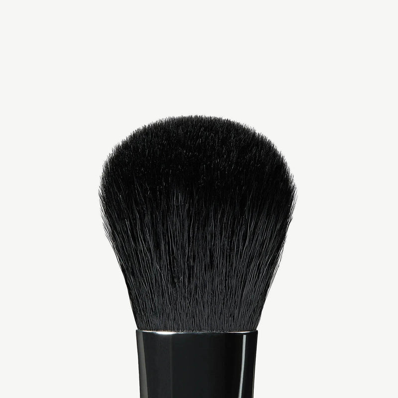 A19 Pro Brush - Blush Brush